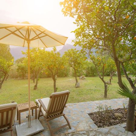 Finca Can Coll Boutique Country House - Adults Only Soller Bagian luar foto