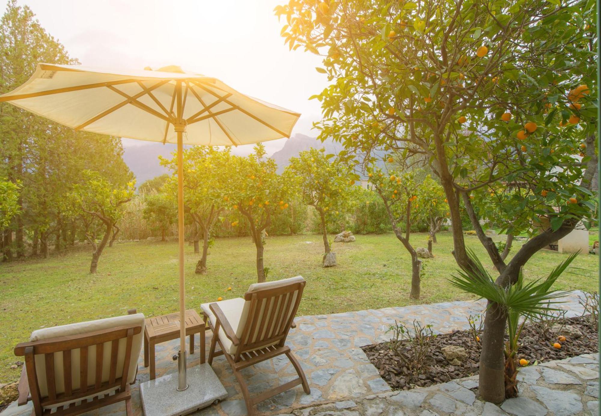 Finca Can Coll Boutique Country House - Adults Only Soller Bagian luar foto